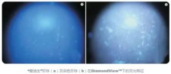 愛迪生珍珠為什么掉色