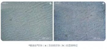 愛迪生珍珠為什么掉色