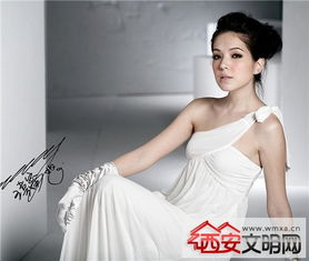 阮經天h姓女星是指誰