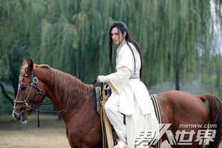 高長恭和高湛什么關(guān)系