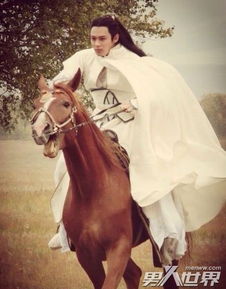 高長恭和高湛什么關(guān)系