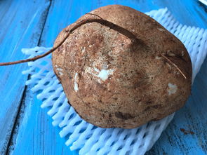 白瓜不能和什么一起吃