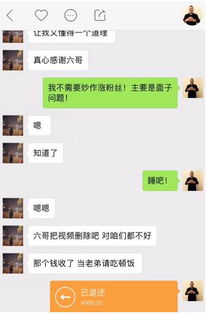 高迪和趙本六怎么回事