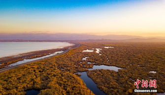 中國最大的湖泊是什么湖