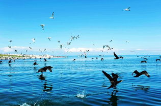 中國有多少咸水湖