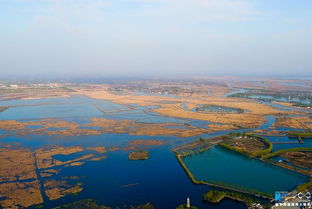 最大的湖泊是什么湖