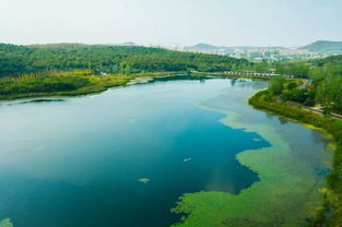 最大的湖泊是什么湖