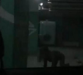 養小鬼能發財嗎