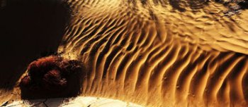 世界最大的內陸盆地是什么