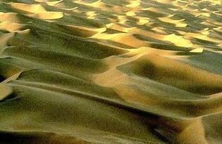 世界最大的內陸盆地是什么