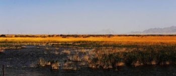 中國最大的內陸盆地