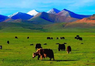 中國最大的內陸盆地