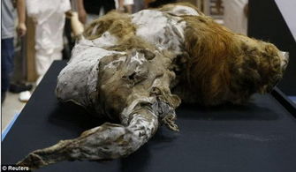 史前動物可以復活嗎