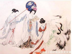 楊玉環愛李瑁嗎