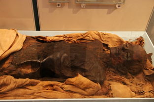 為什么要制作木乃伊