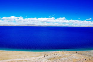 世界最高的咸水湖是什么