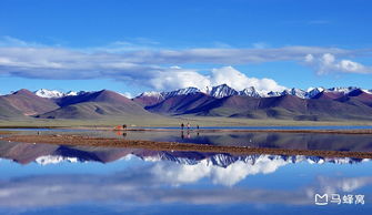 世界最高的咸水湖是什么