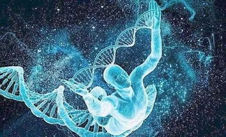 人類為什么會死亡