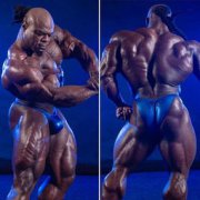 什么人種最強壯