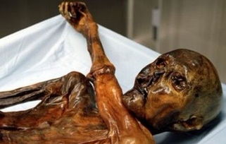 木乃伊的詛咒是真的嗎