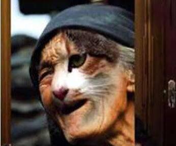 貓臉老太太怎么回事