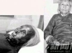 貓臉老太太怎么回事