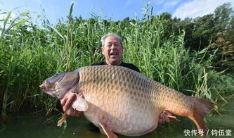 亞洲鯉魚是什么魚種