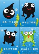 小蝌蚪怎么變成青蛙的