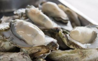 什么是牡蠣