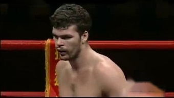 散打王柳海龍被判幾年