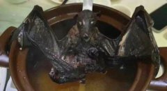 三吱兒是什么東西