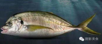 深海魚biss什么梗