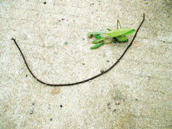 鐵線蟲會寄生在人體里怎么解決