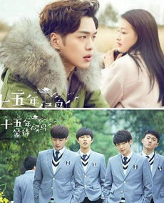 15年候鳥結局什么意思