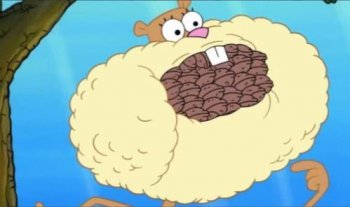 海綿寶寶里的松鼠叫什么