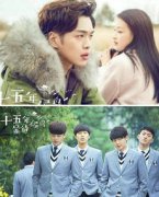 15年候鳥結局什么意思