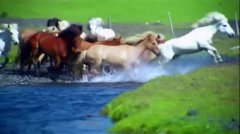 大雁北歸是什么季節