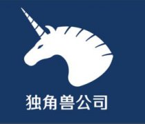 獨角獸什么意思