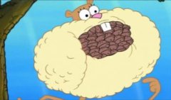 海綿寶寶里的松鼠叫什么