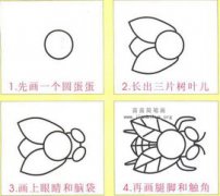 蒼蠅怎么畫