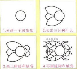 蒼蠅怎么畫