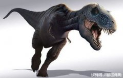 巨獸龍和霸王龍誰大