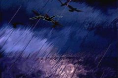 海燕中大海象征什么