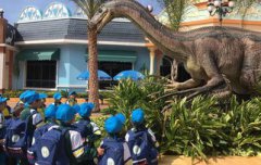 海青是什么動物