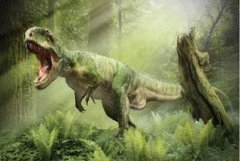 甲龍和霸王龍誰厲害