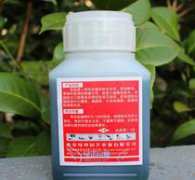 蚧殼蟲用酒精能殺死嗎