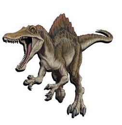 棘背龍和棘龍一樣嗎