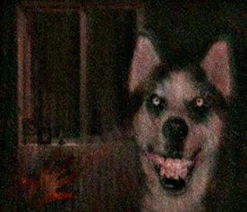 微笑狗事件是真的嗎