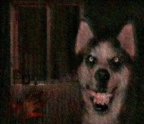 微笑狗事件是真的嗎