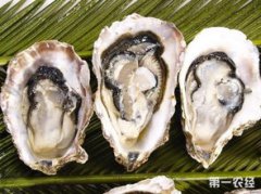 牡蠣是什么